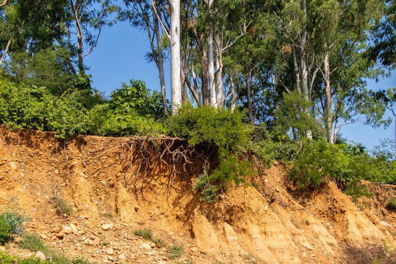 Erosion Prevention Strategies