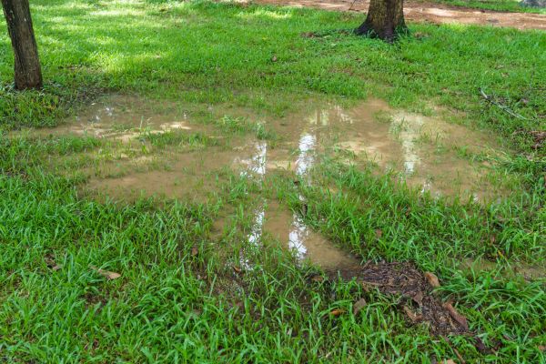 Cost of Storm Water Drainage Service in Albany