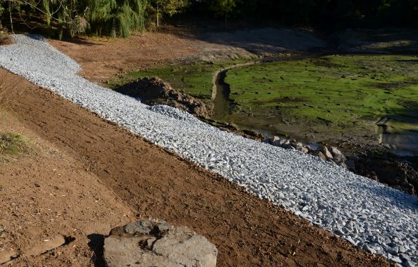 Cost of Landscape Swales Installation in Albany