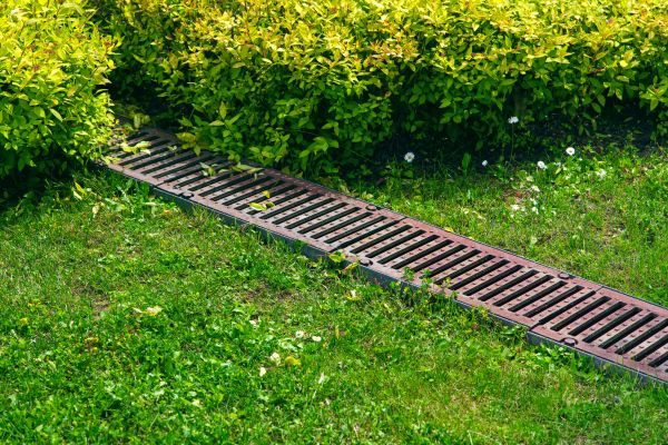 Cost of Yard Drainage Installation in Albany
