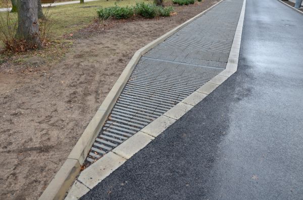 Cost of Muddy Yard Drainage in Albany