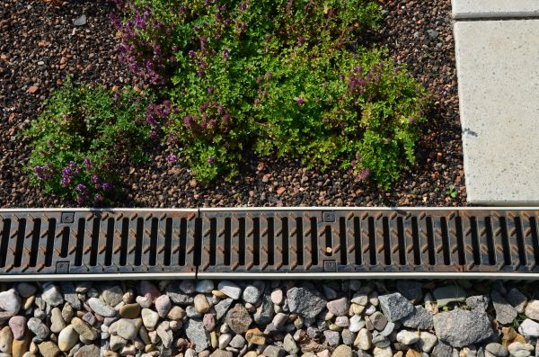 Cost of Yard Drain Installation in Albany