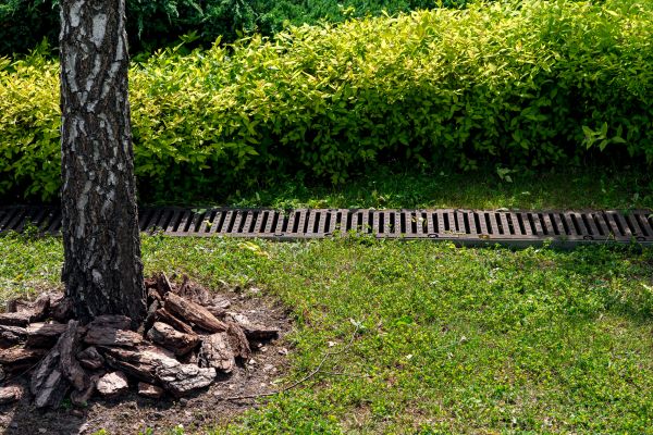 Cost of Garden Drainage Installation in Albany