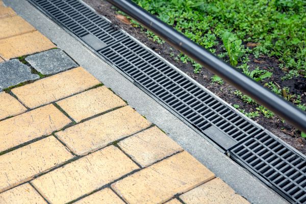 Cost of Waterlogged Yard Repair in Albany