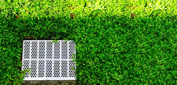Cost of Yard Drainage Replacement in Albany