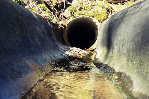 Cost of Drainage Swale Installation in Albany