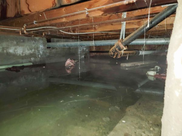 Cost of Crawlspace Drainage in Albany
