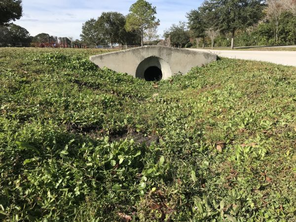 Cost of Swale Drainage Service in Albany