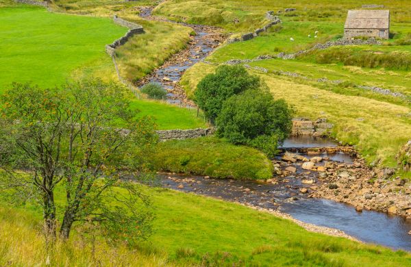 Cost of Swale Repair in Albany